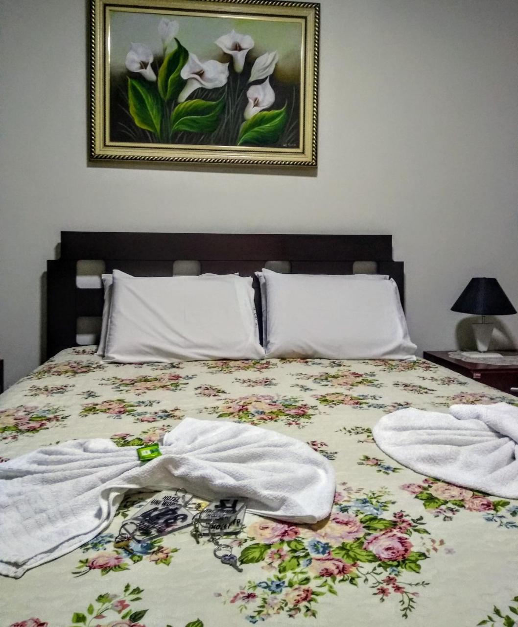 Hotel Uniworld Aracatuba  Ngoại thất bức ảnh